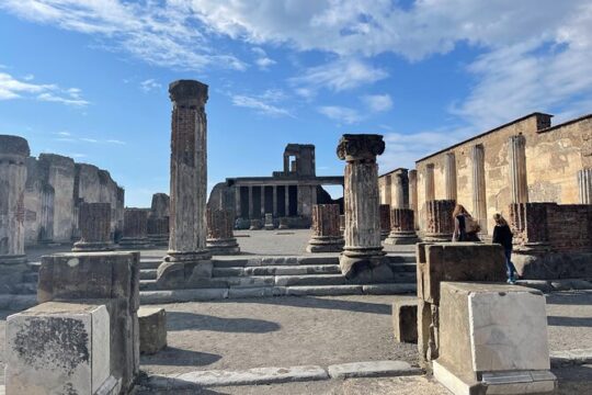 Pompeii Vesuvius and Wine tasting from Sorrento