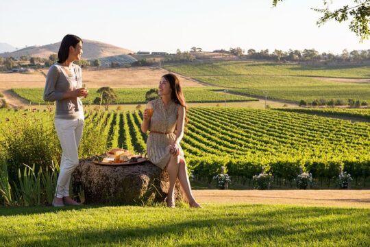 Yarra Valley Wineries Private Day Tour