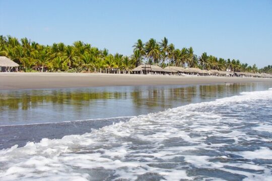 Tour to Puerto Arista and Boca del Cielo from Tuxtla