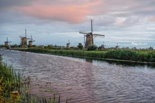 Discover the Dutch countryside & windmills with a private guide