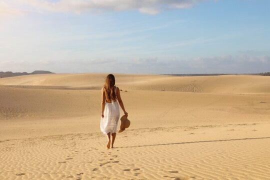 Discover Fuerteventura in One Day