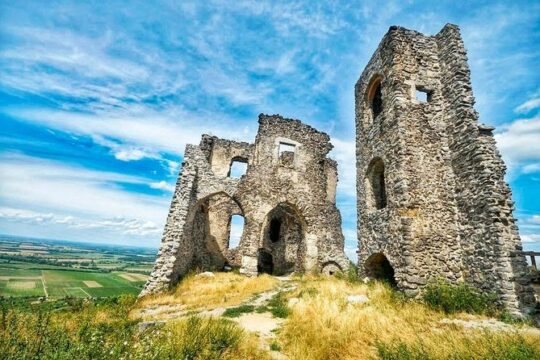 Volcanic Wines of Hungary Half-Day Tour from Budapest
