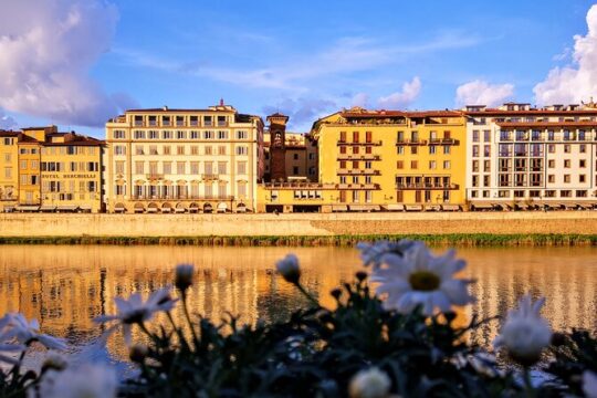 Small Group Medici and Michelangelo Tour in Florence