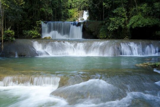 Private YS Falls and Black River Safari from Runaway Bay