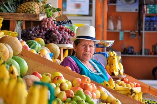 Mexican Flavor Route - Tacos, Chocolate & Desserts in Mexico City
