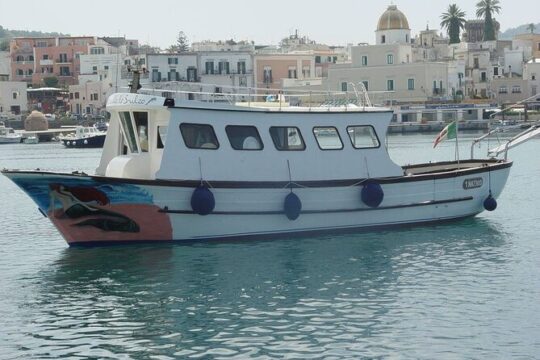 Boat tour of the island of Ischia with lunch and bath