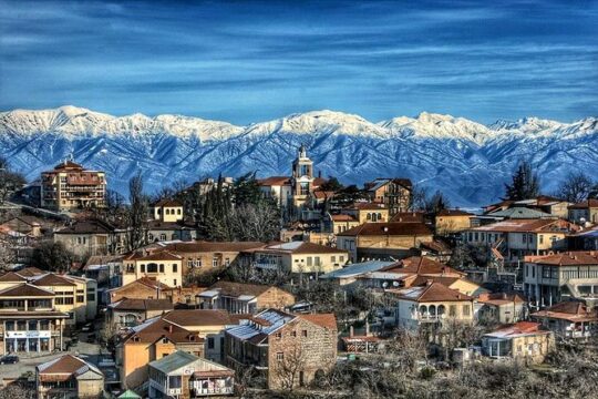 1 Full Day Kakheti Private tour