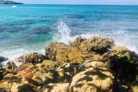 Blue Lagoon & Laguna el dudu from puerto plata