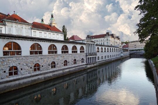 Guided Walking Tour in Ljubljana
