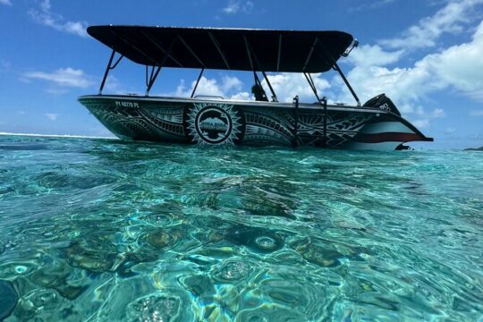 Half day Eco Snorkeling Tour in Bora Bora by a Local Company