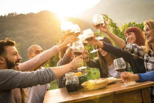 Vintage tour of Slovenian Istra - Private tour from Ljubljana