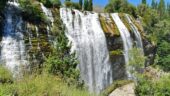 The waterfall was perfect! This company really cares!