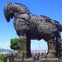 Shore Excursions
