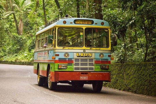 Experience Jamaica like a Jamaican
