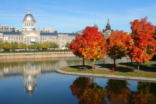 Old Montreal Private Walking Tour with Cruise Tickets
