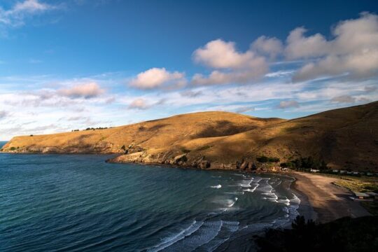 Christchurch Harbour, Hills and Beach Private Half Day Tour