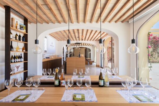 Winery tour and cru wines tasting in Mazara del Vallo