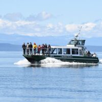 Catamaran Cruises