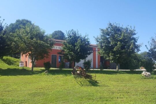 Visit vineyards, cellar and barrel cellar. Tasting of 5 wines