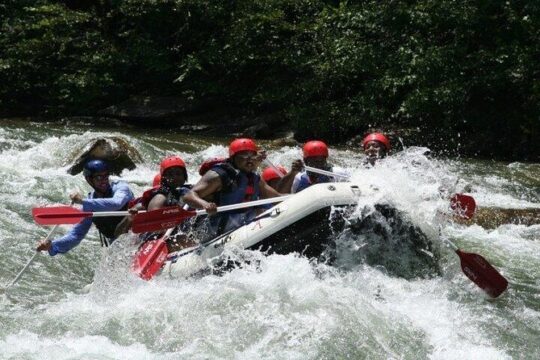 River Boarding on the Rio Bueno from Ocho Rios