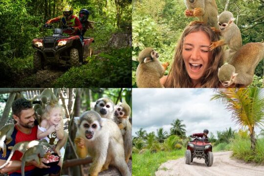 Double Adventure: Monkeys Plus Drive a 4x4 Buggy