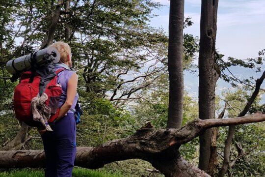 Full-Day Private Hike in Foreste Casentinesi National Park