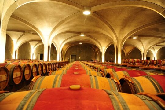Private Tour on the Route des Grands Vins du Médoc with Visits and Tastings