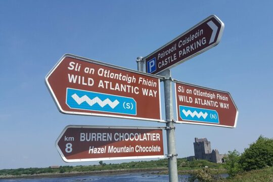 Private 4 Day Tour Dublin to Killarney Ring of Kerry and More