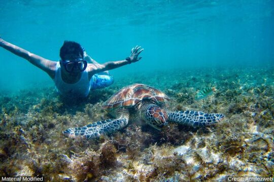 Cancun & Southern Mexico: See & Experience ALL in 6 Days, 1st Class Custom Tours