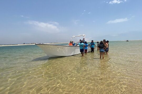 Half-Day Boat Trip to the Ria Formosa Islands