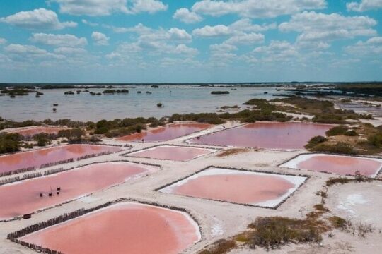 Tour to progreso, corchito and salt ponds
