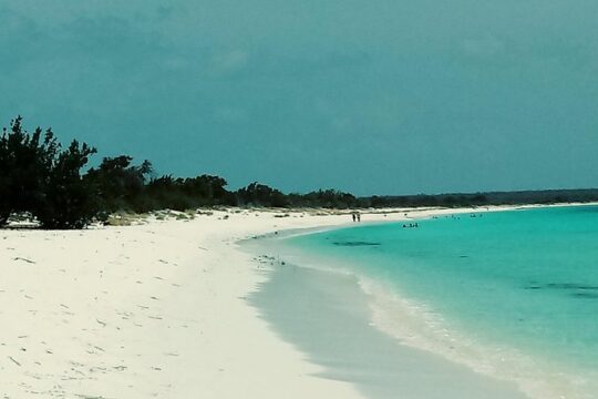 Tour to Saona Island
