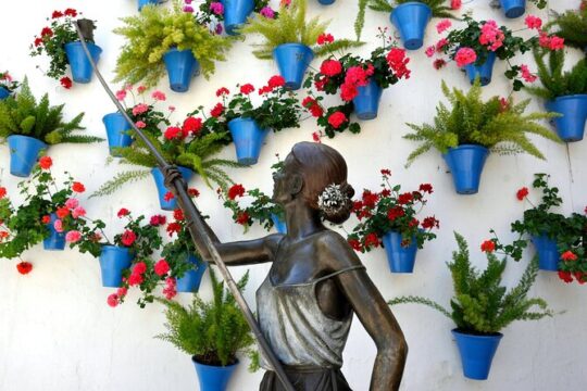Courtyards of Córdoba Christmas Special Tour
