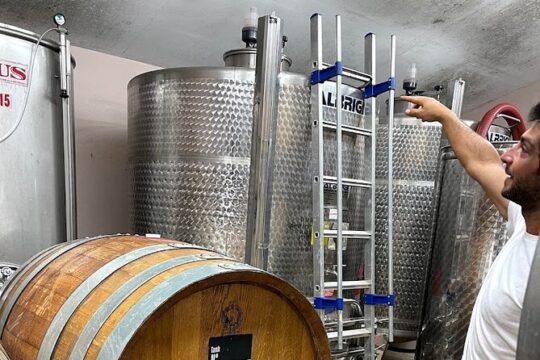 Chianti Bio Wine and Oliveoli Tasting