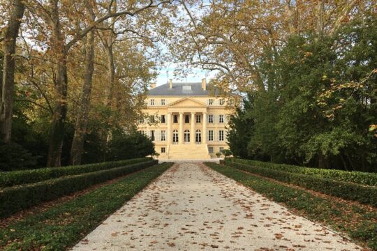 Discover Médoc the Birthplace of the 1855 Classification