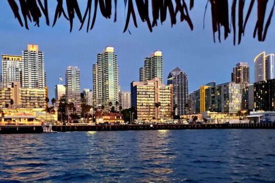 Laki's Liquid Lounge-Tropical Tiki Tour at night on San Diego Bay