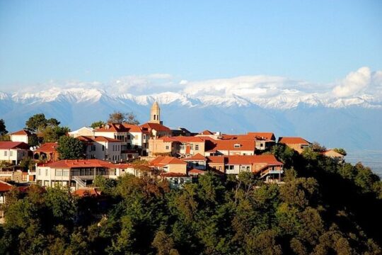 Full-Day Private Tour of Kakheti Region with Pick Up