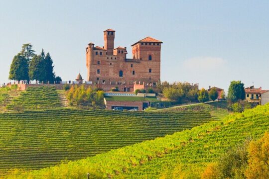 Alba, Langhe, Piedmont Castle & Barolo Wine Day Trip from Milan