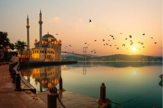 Guided Sightseeing Tours