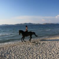 Horseback Riding