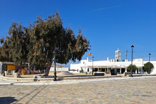 Mykonos island tour in small group up to 11 people.