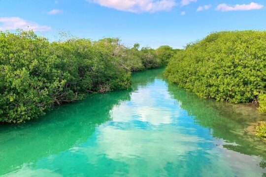 Eco Biosphere Tour, Sian Kaan Snorkel from Tulum City
