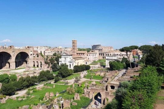 Roman Forum and Palatine Hill Skip the Line Ticket