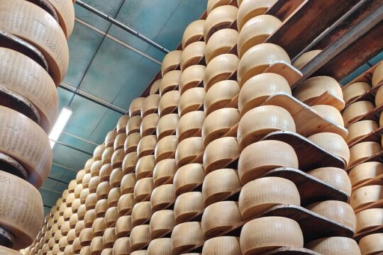 Bologna Full Day Food Factory Tour and Wine Tasting
