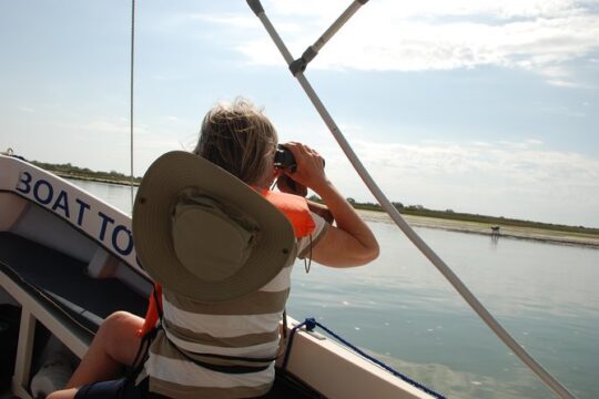 Birding in Tavira and Ria Formosa