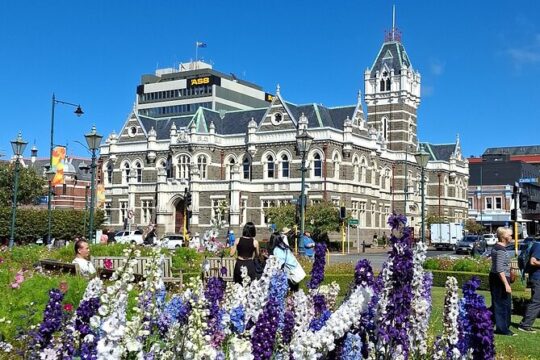 Dunedin and Otago Peninsula Tours For Up To 5 people