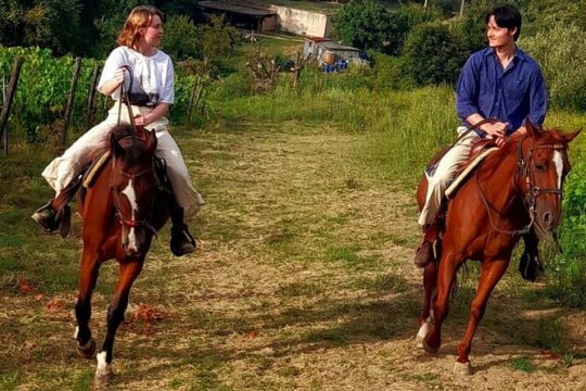 Horseback riding tour of the Chianti hills