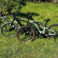 Bike Rentals