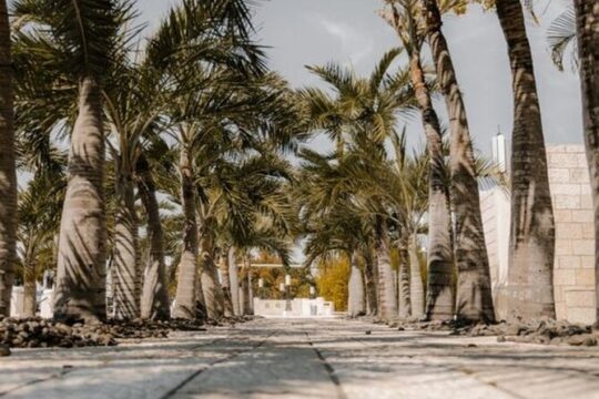 Key West Street Food Private Local Guided Tour
