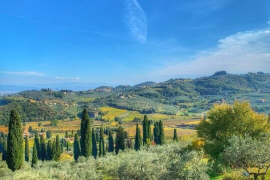 Carmignano Wine Tour with a Somm Small Group